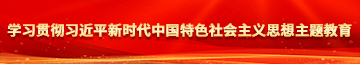 欧美暴艹视频在线观看学习贯彻习近平新时代中国特色社会主义思想主题教育